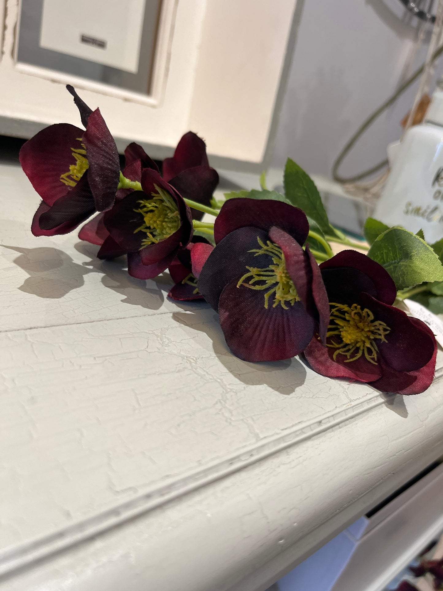 Grand Illusions - Hellebore Stem