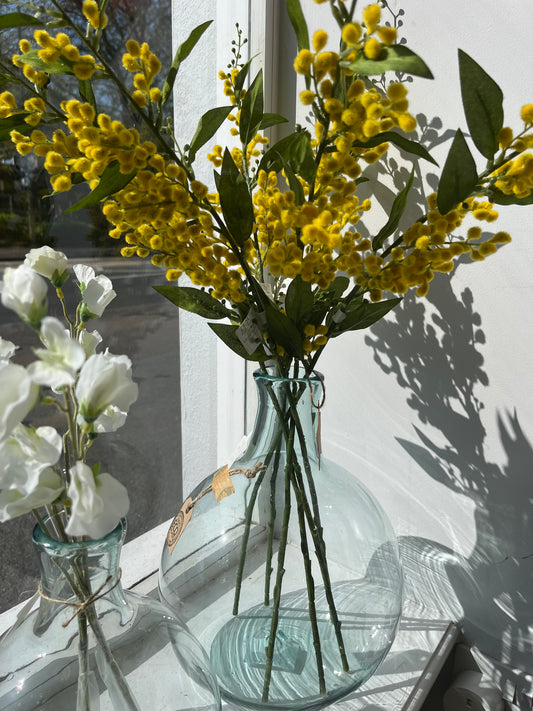 Grand Illusions: Mimosa Spray