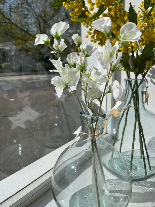 Grand Illusions: White sweet Pea stem
